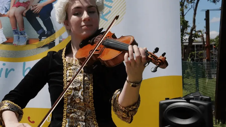 Die Geige als Musikinstrument